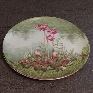 Newfoundland Pitcher Plant Sunrise Bone China Collector Plate Provincial Flower